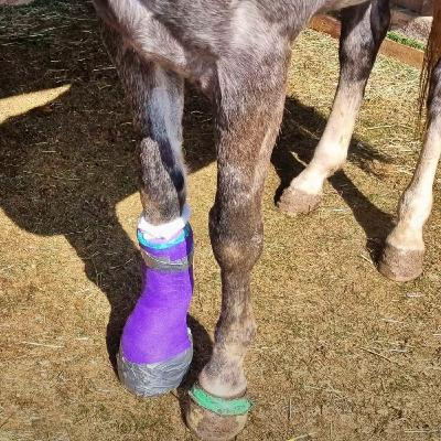 #430 Amira ohne Gips – Benny mit Plänen #430 Amira ohne Gips – Benny mit Plänen