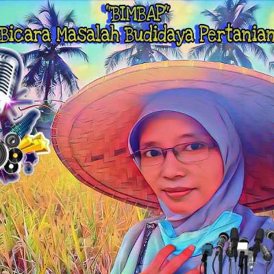 BIMBAB "Bicara Masalah Budidaya Pertanian" Meningkatkan Hasil Produksi Pertanian Padi Sawah