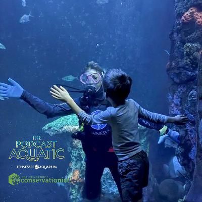 Building An Aquarium For Everyone