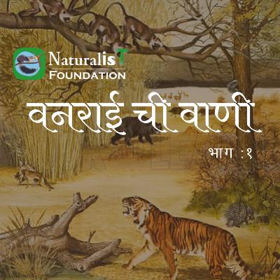 वनराई ची वाणी - एपिसोड 1