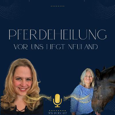 LED-Lichttherapie für Pferde | Vinja Bauer und Silvia