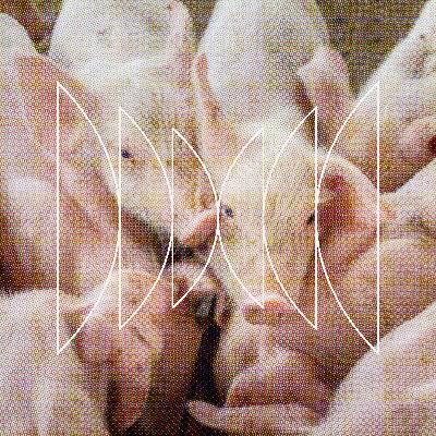 What is a Pig Worth?