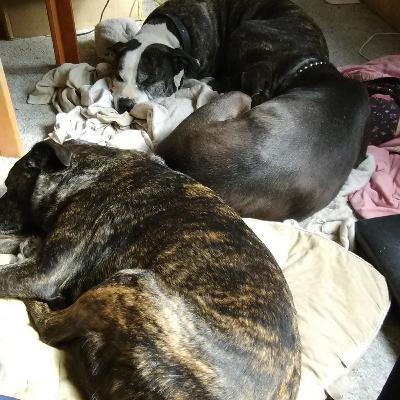 Chaz Logan Hyde Tuesday at Luckeys