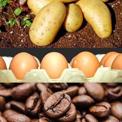 (CERITA Eps.1) KENTANG,TELUR,KOPI (CERITA Eps.1) KENTANG,TELUR,KOPI