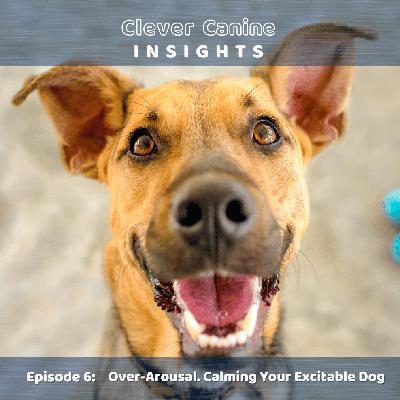 Over-Arousal: Calming Your Excitable Dog