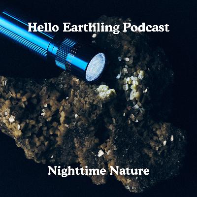 Nighttime Nature