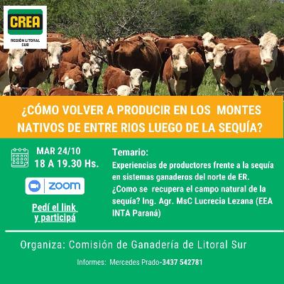 Taller: Cómo volver a producir en los montes nativos de ER luego de la sequía?