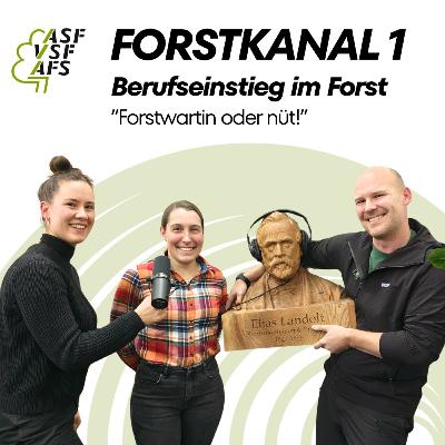 #2 — Berufseinstieg im Forst