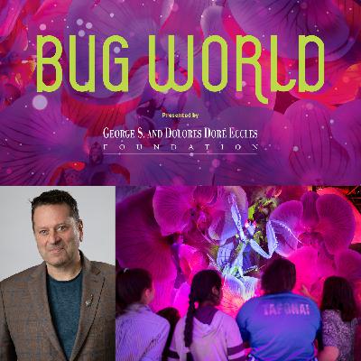 Giant insects come alive as a new immersive museum exhibition Giant insects come alive as a new immersive museum exhibition
