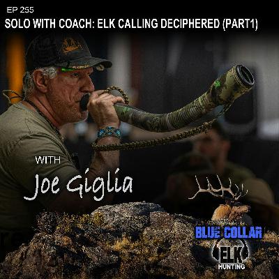 EP 255: Solo with Coach: Elk Calling Deciphered (Part1) EP 255: Solo with Coach: Elk Calling Deciphered (Part1)