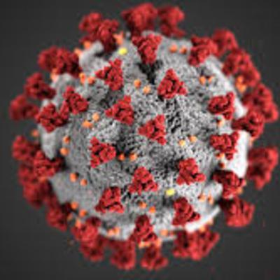 Corona Virus