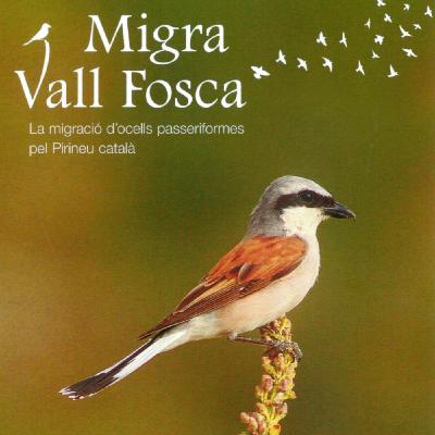 08 - El de les boscarles i balquers, dels llisters i de la migració a la Vall Fosca