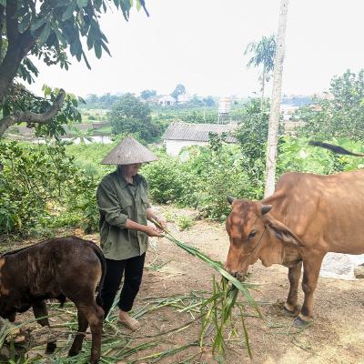 Tin trong nước - Tỉnh Bắc Ninh thực hiện nhiều chính sách giảm nghèo phù hợp