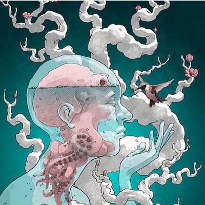 T1E4 , Brasil, México, España y Chile hablando de aguacate, raíces, enfermedades e Historia