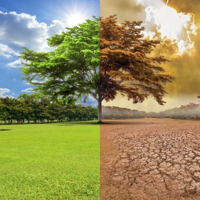 Cambio climático