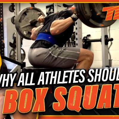Why All Athletes Should Box Squat