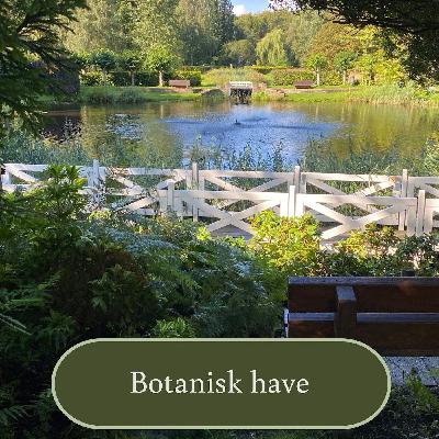 Botanisk Have