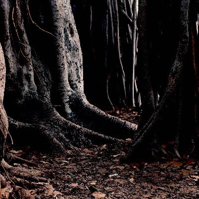 Growth Begins Underground