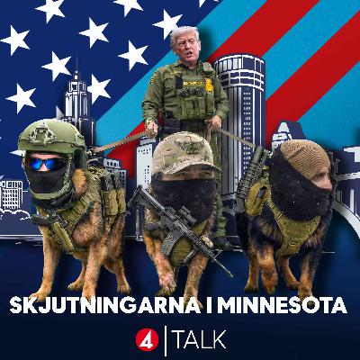 Skjutningarna i Minnesota Skjutningarna i Minnesota