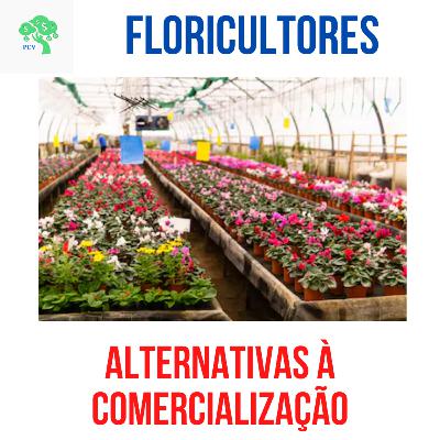 Limitações no setor de flores durante o COVID-19 Limitações no setor de flores durante o COVID-19