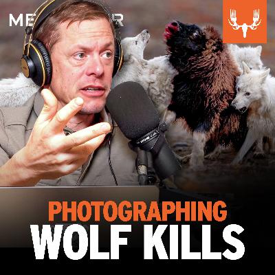 Ep. 814: Photographing Wolf Kills, Underwater Beavers, and Other Impossible Shots