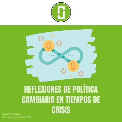 Reflexiones de Política Cambiaria en Tiempos de Crisis