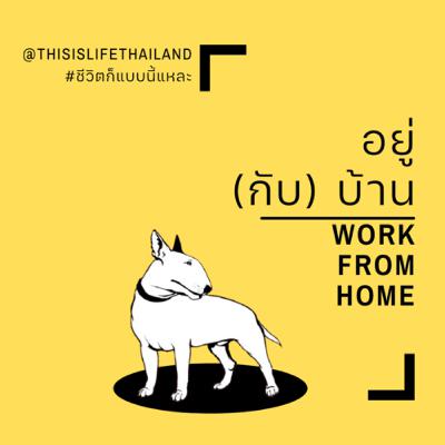 อยู่ (กับ) บ้าน - This is LIFE EP.21 อยู่ (กับ) บ้าน - This is LIFE EP.21