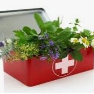 BOTIQUIN NATURAL BOTIQUIN NATURAL