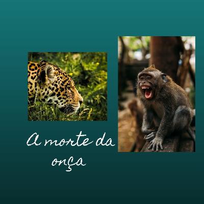 A morte da onça