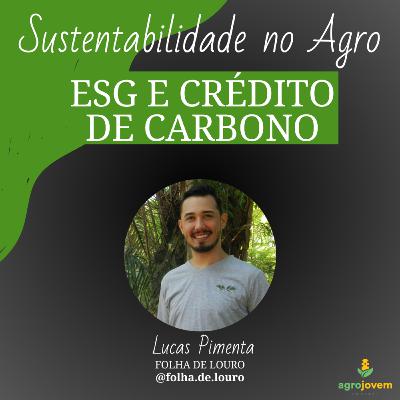 Maximizando Lucros e Sustentabilidade no Agronegócio com Crédito de Carbono e ESG | Folha de Louro