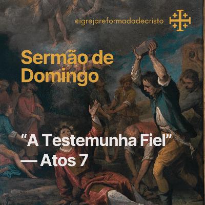 A Testemunha Fiel — Atos 7 A Testemunha Fiel — Atos 7