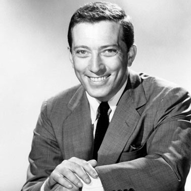 Love Story / Andy Williams