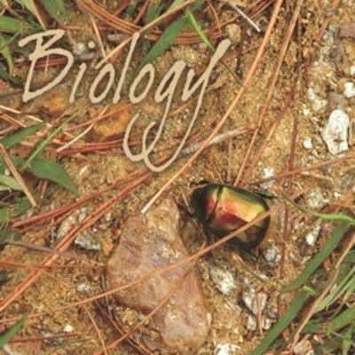 CH-5 MORPHOLOGY OF FLOWERING PLANTS