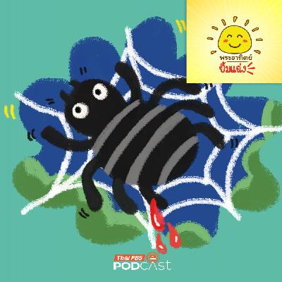 พระอาทิตย์ยิ้มแฉ่ง EP. 1960: แมงมุมเลือดสีอะไรนะ