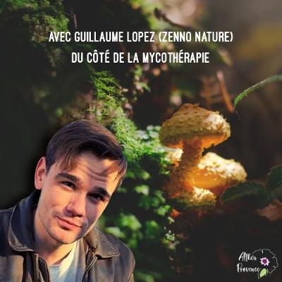 Interview Guillaume Lopez (Zenno Nature) - la mycothérapie