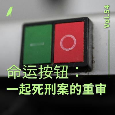 054 命运按钮：一起死刑案的重审