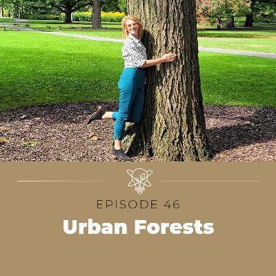 What’s an urban forest?