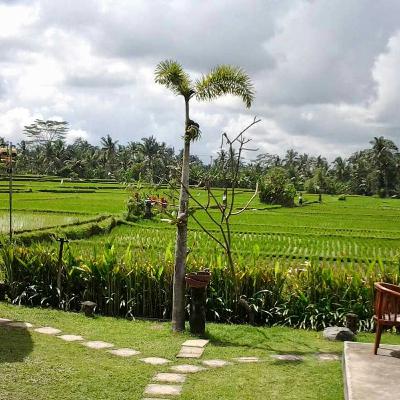 Desa Ubud Bali