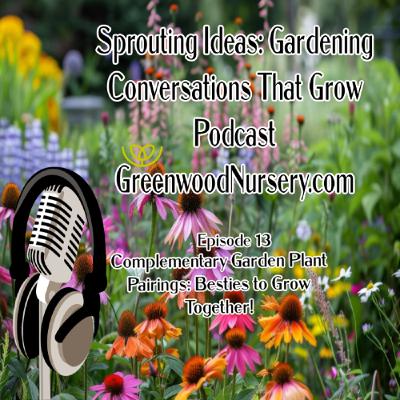 Complementary Garden Plant Pairings Complementary Garden Plant Pairings