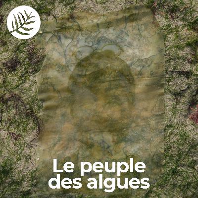 Le Peuple Des Algues : Ingrid Arnaudin - Ep9/10