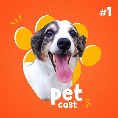 PetCast #01 - Pets e Guerra, Adoção e Estopinha