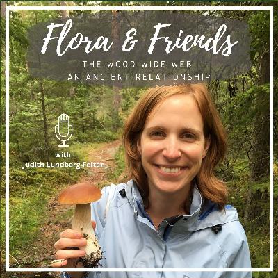 A journey into the woods - The wood wide web - an ancient relationship