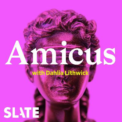 Amicus | How To Fix Our Broken Constitution