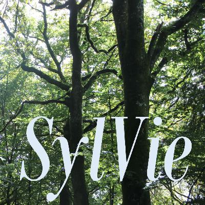 Sébastien Chaton, expert forestier : la valeur économique des arbres