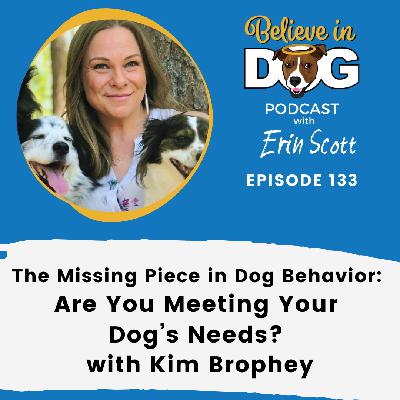 The Missing Piece in Dog Behavior: Are You Meeting Your Dog’s Needs?  with Kim Brophey, Dog Behavior Expert