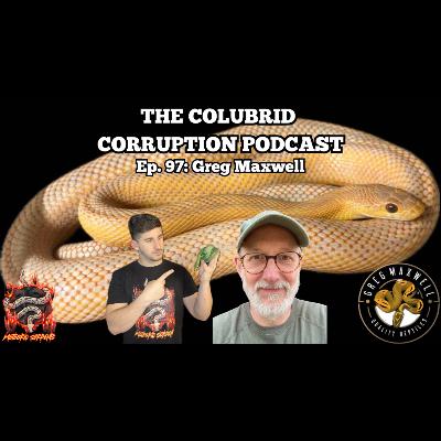 Hobby OG Leans into his Colubrid Roots w/ Greg Maxwell | The Colubrid Corruption Podcast | Ep. 97