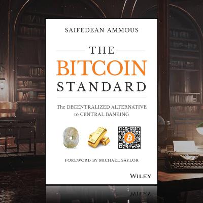 《比特幣標準》12. 比特幣的疑問 (下)