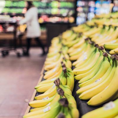 Episode 8: Grocery Sentences