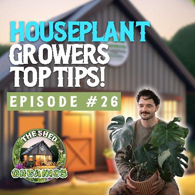 #26 - Keeping Our Houseplants Thriving | Brocc Rogers [literallyjustaplantguy]