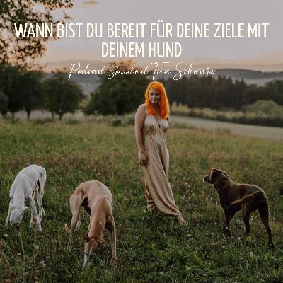 Wann bist du bereit für deine Ziele mit deinem Hund Wann bist du bereit für deine Ziele mit deinem Hund